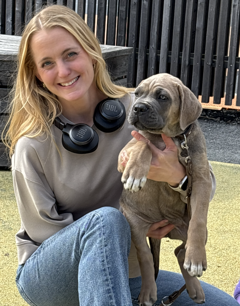 The breeder smiling outdoors while holding a young grey Cane Corso puppy